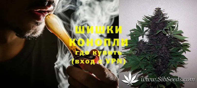 Конопля гибрид  Жердевка 